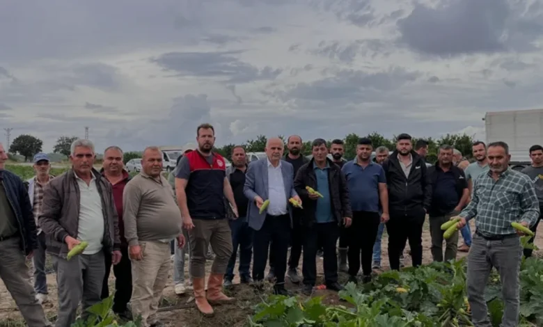 Antalya Manavgat'ta Dolu Yağışı Tarım Arazilerine Zarar Verdi