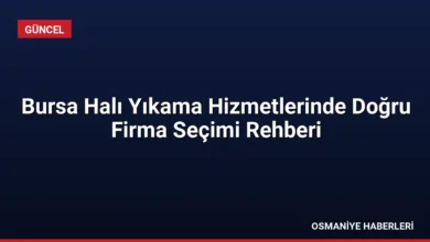 Bursa Halı Yıkama Hizmetlerinde Doğru Firma Seçimi Rehberi