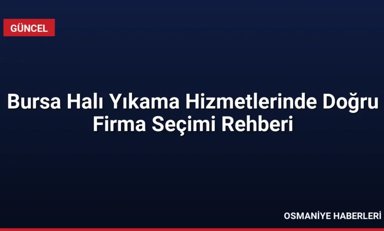 Bursa Halı Yıkama Hizmetlerinde Doğru Firma Seçimi Rehberi