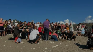 Çıralı Sahili'nde 3 bin 500 caretta caretta yavrusu denize ulaştı