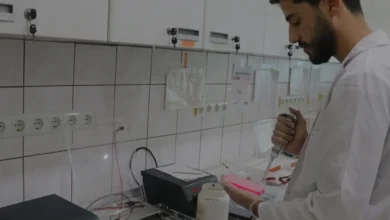 Çukurova Üniversitesi Tarımda Kuraklığa Dayanıklı Tohumlar Geliştiriyor