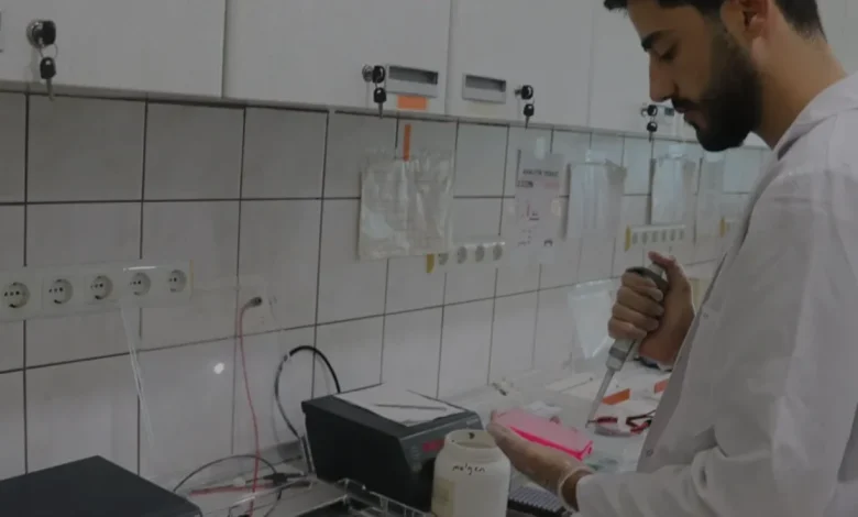 Çukurova Üniversitesi Tarımda Kuraklığa Dayanıklı Tohumlar Geliştiriyor