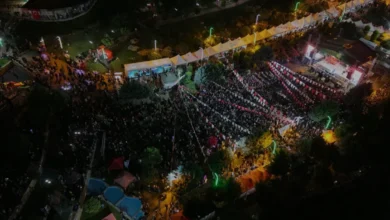 Derya Bedavacı Altınözü Zeytin Festivalinde Sahne Aldı