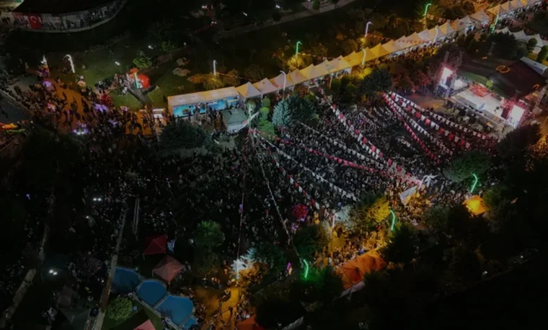 Derya Bedavacı Altınözü Zeytin Festivalinde Sahne Aldı