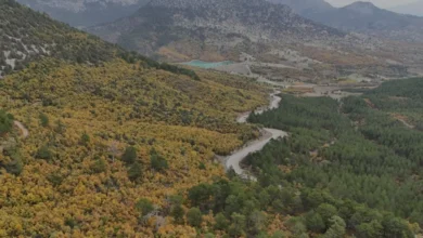 Isparta Aksu Yaylalarında Sonbahar Renkleri Hakim