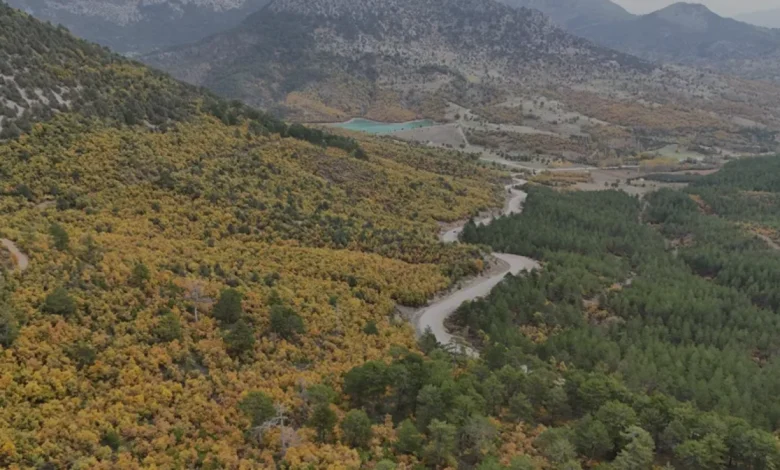 Isparta Aksu Yaylalarında Sonbahar Renkleri Hakim