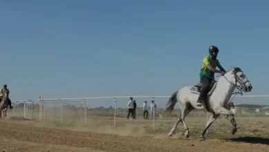 Manavgat Geleneksel Rahvan At Yarışlarında 600 Bin Lira Ödül Dağıtıldı