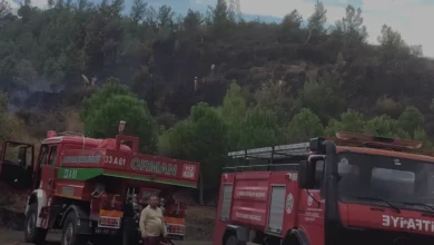 Mersin Bozyazı ilçesinde çıkan arazi yangını kontrol altına alındı