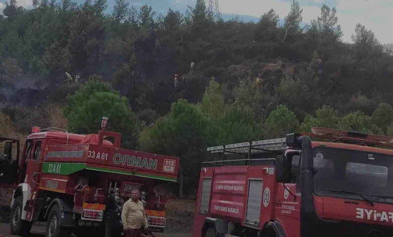 Mersin Bozyazı ilçesinde çıkan arazi yangını kontrol altına alındı
