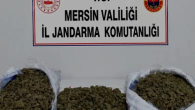 Mersin merkezli uyuşturucu operasyonunda iki kişi tutuklandı