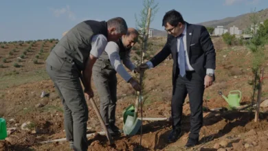 Mersin Silifke'de Şehit Savcı Mehmet Selim Kiraz Hatıra Ormanı Yenilendi
