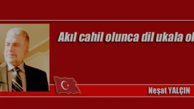 Neşat Yalçın Nasifoğulları Bilgi Eksikliği ve Toplumsal Dil Üzerine Değerlendirmelerde Bulundu