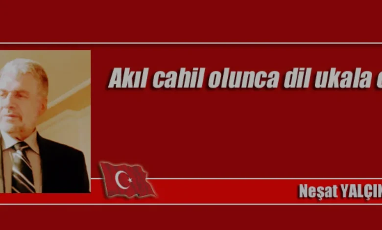 Neşat Yalçın Nasifoğulları Bilgi Eksikliği ve Toplumsal Dil Üzerine Değerlendirmelerde Bulundu