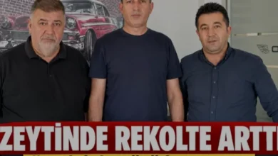 Osmaniye Zeytin Üreticilerinden İhracat Kısıtlaması Tepkisi