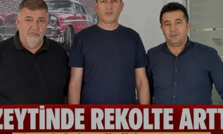 Osmaniye Zeytin Üreticilerinden İhracat Kısıtlaması Tepkisi